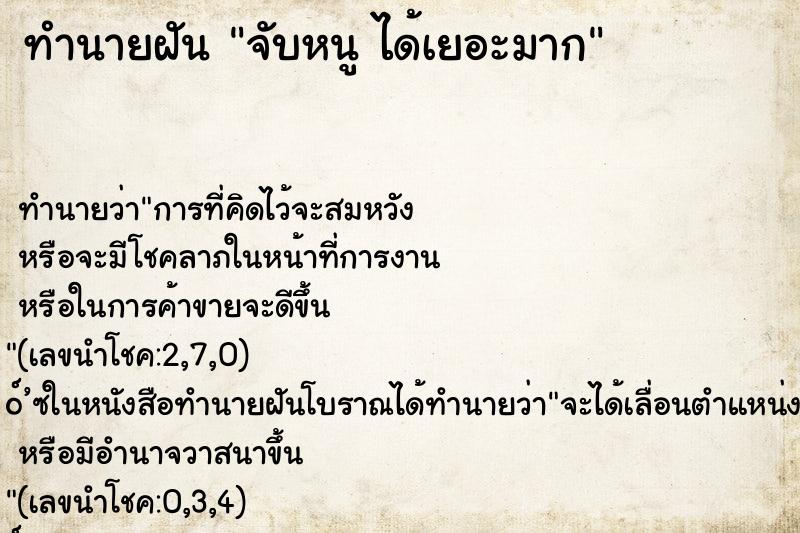 ทำนายฝันจับหนูได้เยอะมาก ทำนายฝันทำนายฝันจับหนูได้เยอะมาก